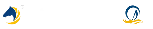 DAC Power logo